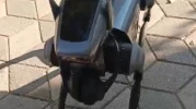 Eskişehir Sokaklarında Robot Köpek Sürprizi: Vatandaşların İlgi Odağı Oldu