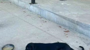 Bilecik’in Osmaneli İlçesinde Araç Çarpan Köpek Ameliyat Edildi