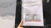 Sokak sokak kaybolan kedisini ararken duyarsız vatandaşların tavrına üzüldü