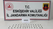 Eskişehir’de Kaçakçıya Suçüstü: Çantasından Roma Sikkeleri Çıktı