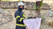 Bilecik’te caddede yakalanan ’oluklu kertenkele’ doğaya salındı
