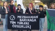 Hayvanların Katliam Fermanına Tepki: TBMM’ye Çağrı Yapıldı
