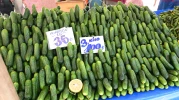 Eskişehir’de Turşu Sezonu Başladı
