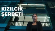 Kızılcık Şerbeti 4. sezon tarihi belli oldu! Kızılcık Şerbeti ne zaman başlıyor, yeni bölüm bu hafta var mı?