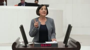 CHP’li Süllü’den Beylikova’daki nadir toprak elementleri için TBMM’ye soru önergesi verdi