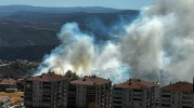 Bilecik’te salça ateşi yangına neden oldu: 30 dönüm alan kül oldu