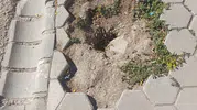 Engelli Vatandaşlar Bozulan Kaldırımı Kullanmakta Zorlanıyor