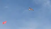 Eskişehir'de dev model uçak ay-yıldızla gökyüzünde