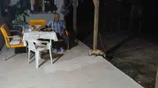 Eskişehir’de aç tilki evin bahçesine indi