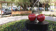 Vişnelik'te Yaşamak Neden Bu Kadar Çok Tercih Ediliyor?
