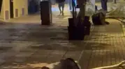 Eskişehir’de Gece Saksıları Devirerek Yürüdü