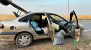 TİGEM bahçesinde fıstık hasadı yaparken jandarmaya yakalandılar