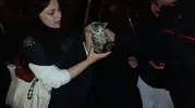 Harşit Çayı'nda ölümden dönen yavru kediye mahalleli sahip çıktı