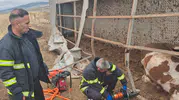 Ankara-Niğde Otoyolu'nda hayvan taşıyan tır şarampole uçtu