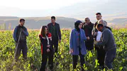 Tercan'da tarımsal üretim için yerel yönetimden saha mesaisi