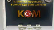 Bodrum'da sahte dolar operasyonu: 46 bin 200 dolarlık vurgun girişimi engellendi