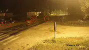 Yukarı Kırzı köyünde gece yarısı kurt sürüsü paniği