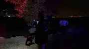 Kayseri'de boş arazideki ağaçta acı manzara: 35 yaşındaki şahıs hayatını kaybetti
