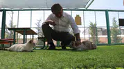 Kayseri'nin ilk kedi kasabası hayvanseverlerin yeni buluşma noktası oldu
