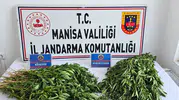 Manisa'da dört ilçeyi kapsayan uyuşturucu operasyonunda büyük vurgun