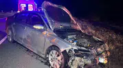 Kastamonu kara yolunda domuz sürüsü dehşeti: 2 yaralı ve 9 telef