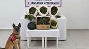 Niğde'de jandarmadan uyuşturucu operasyonu: 10 kilo madde ve kenevir ele geçirildi