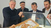 Düzce'de fındık hasadında kritik denetim: Üreticinin beklentileri masaya yatırıldı
