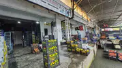 Bafra Hali esnafından modernleşme çağrısı: Mevcut düzen korunmalı