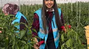 Çayırlı'da öğrenciler toprağa dokundu: Hobi bahçesinde hasat heyecanı