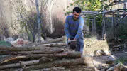 Erzincan köylerinde kış hazırlığı: Kömür pahalı, odun tek çare