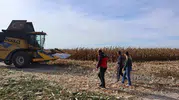 Karapınar'da mısır hasadında kayıpları önlemek için biçerdöver denetimi