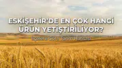 Eskişehir’de En Çok Hangi Ürün Yetiştiriliyor? İlçelere Göre Tarım Haritası