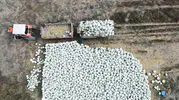 Eskişehir’de Türkiye’nin İlk Bal Kabağı Çalıştayı Yapılacak