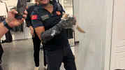 Eskişehir İtfaiyesi Mahsur Kalan Kedi ve Köpeği Kurtardı