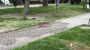 Eskişehir’de Bıçaklı Kavga: 1 Kişi Ağır Yaralandı