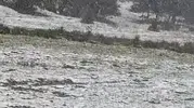 Eskişehir’in Alpu İlçesinde Kar Yağışı Etkili Oldu