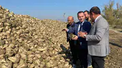 Alpu Kaymakamı Sönmezel Alpu’da Pancar Hasadına Katıldı