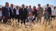 Yüksekova'da hasat coşkusu: Kaymakam Hülür tarlada çiftçilerle buluştu