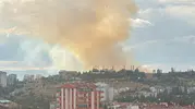 Ata Mahallesi'nde otluk alan alevlere teslim: İhbar üzerine ekipler seferber oldu