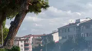 Düğün sevinci okul bahçesini küle çeviriyordu: Havai fişek çam ağacını tutuşturdu, kreşteki çocuklar tehlike atlattı