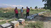 Antakya'da Bal Hasadı Sürüyor: Müdür Türkmen Üreticiyi Yalnız Bırakmadı