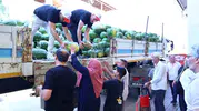 Denizli'de çiftçinin tarlada kalan ürünü Büyükşehir ile sofralara taşınıyor