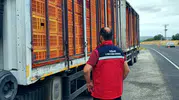 Uşak yollarında hayvan sağlığı için sıkı denetim mesaisi