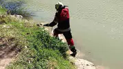 Reyhanlı Yenişehir Gölü'nde yılan paniği: Ekipler müdahale etti