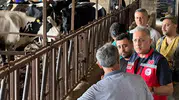Hatay hayvancılığında yeni dönem: Hastalıktan ari işletmeler için kritik bilgilendirme