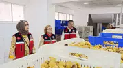 Aydın incirinde kaliteyi koruma mesaisi: Nazilli tesislerinde sıkı denetim