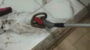 Hatay'da yerleşim alanlarına sızan yılanlar için ekipler harekete geçti