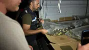 Bitlis'in su kaynaklarına 1.4 milyon yavru sazan takviyesi yapıldı