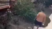 İzmir'de köpeğini gezdiren şahıstan yavrulu kediye vahşi saldırı
