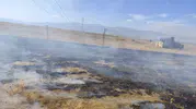 Muş'ta anız yangınları bağ evlerini tehdit etti: Çok sayıda ağaç kül oldu
